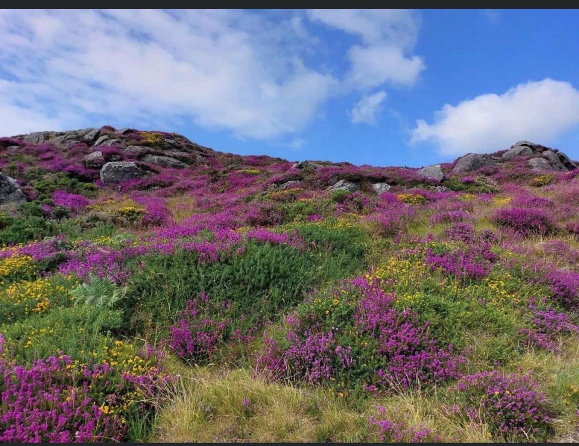 Mountain House Omeath Near Carlingford Villa O Meith Buitenkant foto